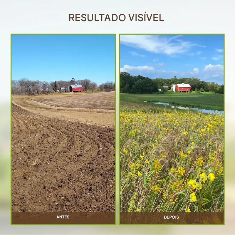 🔥 Promoção de sazonal🔥-Soil Pro ativador