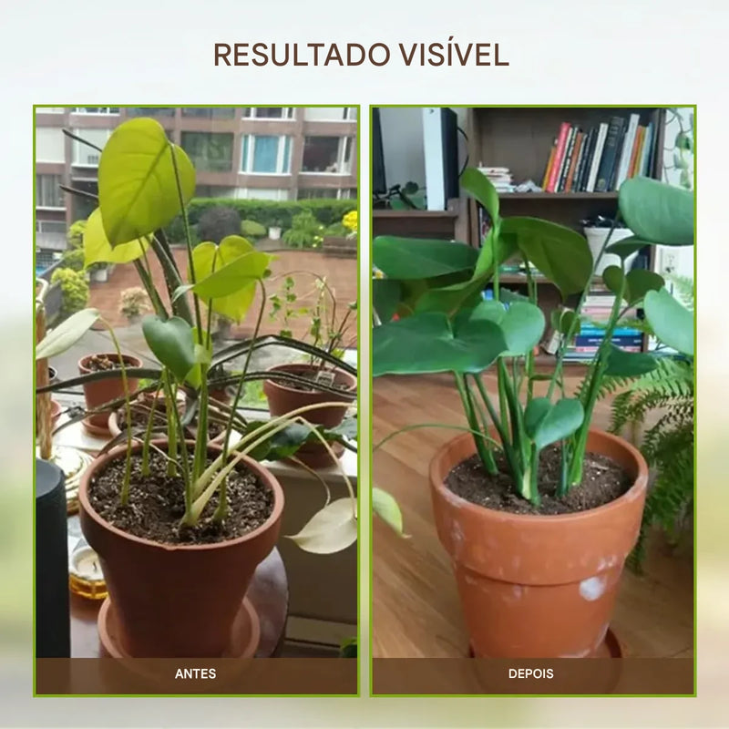 🔥 Promoção de sazonal🔥-Soil Pro ativador