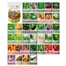 Kit de Cofre de Sementes de Vegetais | Pacote com 35 Variedades
