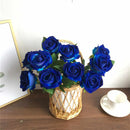 💙Sementes de Rosa Encantadora Azul✨