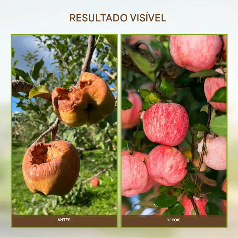 🔥 Promoção de sazonal🔥-Soil Pro ativador