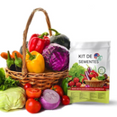 Kit de Cofre de Sementes de Vegetais | Pacote com 35 Variedades