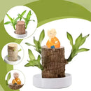 Planta Madeira Brasileira Sorte + Monge de Brinde