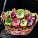 🌱🌹Rosa da Montanha: Beleza que Nunca Desbota, Mesmo para Jardineiros Iniciantes!🌺