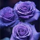 💙Sementes de Rosa Encantadora Azul✨