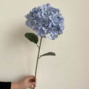 Flores artificiais de ar + Entrega Grátis + Brinde Surpresa Exclusivo