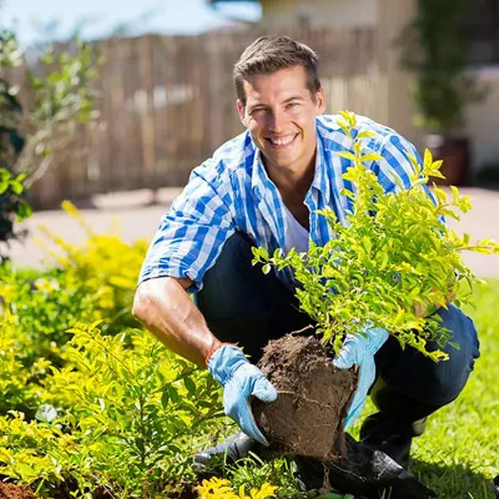 🔥 Promoção de sazonal🔥-Soil Pro ativador