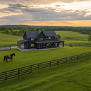 🔥🌱 Sementes de grama anã perene para quatro estações🌾 | Crie seu gramado perfeito aqui🌼